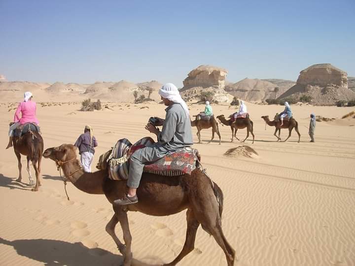 Riding Camel In The Egyptian Desert