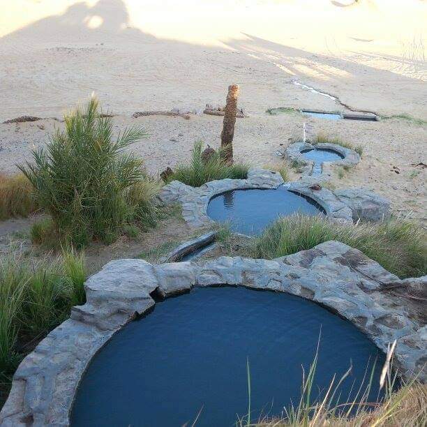 El Serw Spring In Western Desert