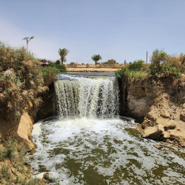 Fayoum Oasis Tour from Cairo