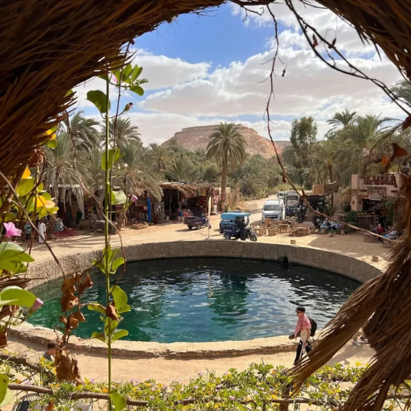 Cleopatra's Spring Siwa Oasis Egypt tour photo