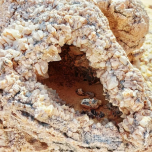Cyrstal Mountian 2
