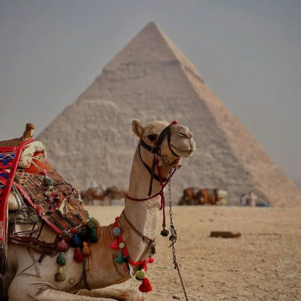 Pyramids of Giza Egypt tour photo