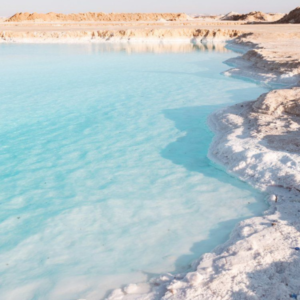 Salt Lake 7