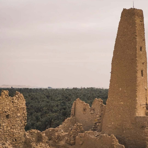 Shali Fortress Siwa Oasis Egypt tour photo