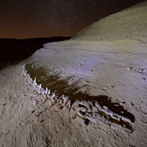 Wadi El Hitan 2