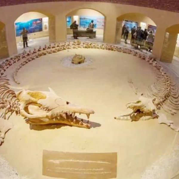 Wadi El Hitan Egypt desert adventure