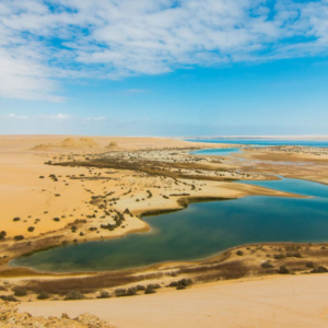 Wadi El Rayan 2