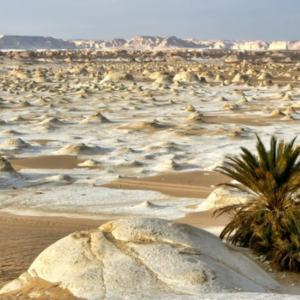 white desert 43