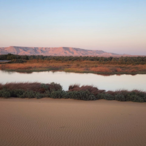 Bahariya Oasis Egypt